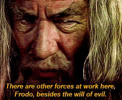 This is a blog for the amazing the lord of the rings trilogy (and the hobbit trilogy). 58 Lotr Gifs Ideas Lotr The Hobbit Middle Earth