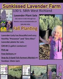 Sunkissed Lavender (@sunkissedlavender) • Instagram photos and videos