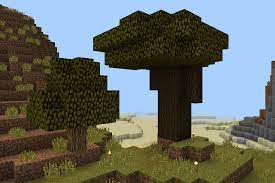 From north to south it spans nearly 2000 blocks and east to west nearly 1000 blocks. Dark Oak Trees Minecraft Bedrock Wiki Fandom