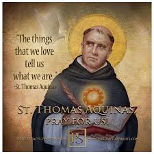 To One Who Has Faith No Explanation Is Necessary To One Without Faith No Explanation Is Possible Saint Quotes Catholic Saint Thomas Aquinas Thomas Aquinas
