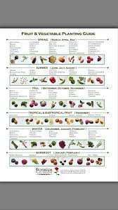 Vegetable Garden Planting Guide Planting Vegetables Fruit Garden Veg Garden