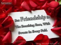 Image result for friendship is a relief to wound