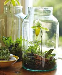 Terrarium Decoratif A Fabriquer Soi Meme Indoor Gardens Plants Indoor Garden