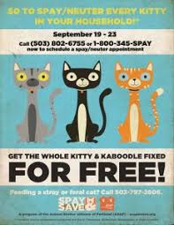 Check spelling or type a new query. Kitty Kaboodle Spay Save