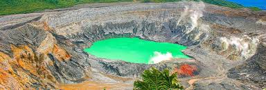 Image result for Craterocapsa