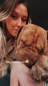 Caner Hunde Trend Original