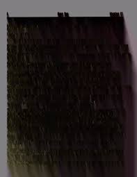 Image result for Ophrestia radicosa