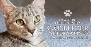 Be earth friendly and avoid replacing your litter pan that ends up in. Better Cat Litter Low Cost And Eco Friendly Options