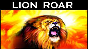 Maybe you would like to learn more about one of these? Real Lion Roar Sound Effect Latest Hd Youtube