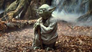 Image result for yoda image
