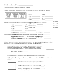 Use your knowledge of genetics to answer the questions below. Microsoft Word Gen Spbobgenetics2
