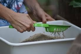 This causes stomach cramps, loss of appetite, and poor growth in young kittens. Parasites And Cats Protozoa The Barn Cat Lady