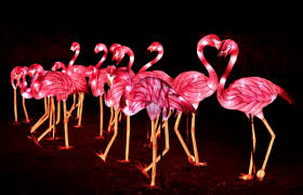 Avec près de 370 000 visiteurs pour sa première édition, espèces en voie d'illumination s'est placée en 2018 en tête des sorties incontournables pendant les fêtes de fin d'année à paris. Festival Of Lights At The Jardin Des Plantes Especes En Voie D Illumination