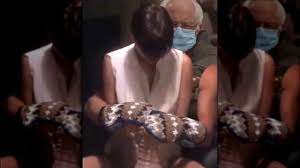 Patrick swayze and demi moore in ghost. Andrew Zimmern Reveals His Favorite Bernie Sanders Meme