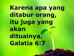 Kumpulan kata kata bijak ttg tabur tuai; Pin Di Spirit