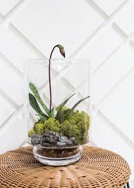 Clear Glass Terrarium Vases At Afloral Com In 2020 Glass Art Projects Glass Terrarium Beach Glass Art