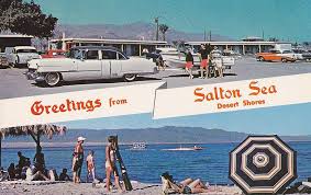Greetings From Salton Sea Desert Shores Postcard 1950s Lakes In California Salton Sea Salton Sea California