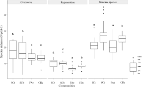 Image result for Cissus nigropilosa