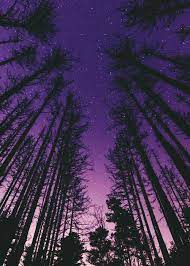 Desert night sky | season 33 ep. Purple Night Sky Uploaded By Hazel Lightwood