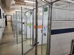 Rehoming animals four paws at a time. Miracles Happen A St Louis Animal Shelter Has Placed All Available Pets Arts Blog
