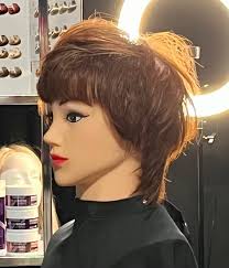 Artiste coiffeur nancy béland