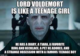 Top 25 Harry Potter Memes Voldemort Disappointment Quotes Harry Potter Memes Clean Harry Potter Memes Harry Potter Voldemort