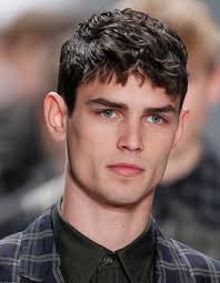 Men S Hairstyles With Fringes Short And Straight Mens Hairstyles Short Pony Hairstyles Haircuts For Men