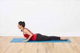 We did not find results for: Introduction To Vinyasa Flow Yoga