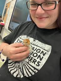 Teacher of the Week: Katie Currie, third grade, Kenwood Elementary,  Champaign