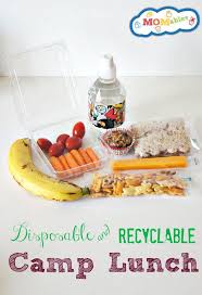 Disposable Lunch Ideas Recipe Field Trip Lunch Camping Food Healthy Camping Food