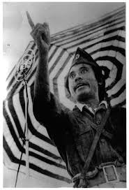 Image result for bung tomo