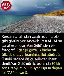 Eyvah Ki Ne Eyvah Bu Guruh O Para Icin Golu Bile Kurutur Inci Kefali Gibi Nadide Bir Canliya Bile Acimaz Biliyor Muydunuz Bilgi Gercekler