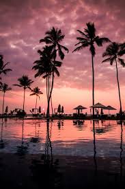 Image Via We Heart It Http Weheartit Com Entry 240488225 Wallpaper Iphone Summer Nature Photography Beautiful Wallpapers