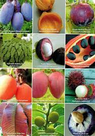 We did not find results for: Australian Rare Fruit Review Magazines