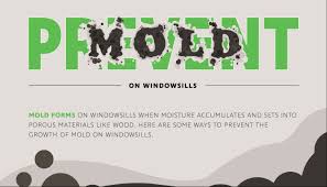 Take a half cup of bleach and mix it into a gallon of water (since bleach is so strong, you want to make sure to add plenty of water). Mold On Windowsills Prevent It Now With These Methods