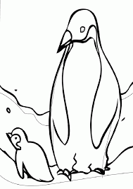 Emperor penguin coloring pages printable. Adelie Penguin Coloring Pages Best Coloring Page Site Coloring Home