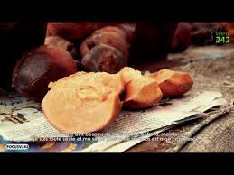 Focus Sur Une Vendeuse De Fruits Tropicaux Les Bamou Youtube