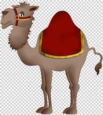 Is a camel a mammal? Bactrian Camel Camel Mammal Animals Terrestrial Animal Png Klipartz