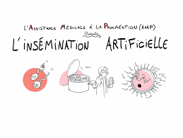 Néanmoins, il apporte aussi quelques modifications contraignantes. L Insemination Artificielle Expliquee En Dessin