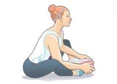 The muscles and tendons and their attached bones comprise contractile. Groin Strain Volleyball Com