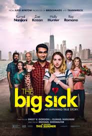 While some were expected to do well, some surprise entries in the list shocked us with their quality and some which were expected to do well, tanked. The Big Sick Wikipedia