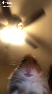 Pin On Mis Pines Guardados