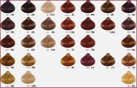 Buy L Oreal Professionnel Inoa 60g Salon Wholesale In 2021 Brown Hair Shades Professional Hair Color Hair Color