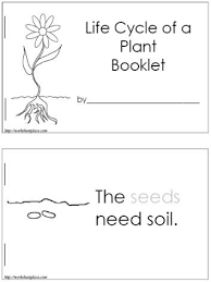 Spring Plant And Gardening Kindergarten Lesson Plan Kindergarten Science Plants Kindergarten Preschool Science