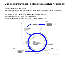 Würde pankreas checken und ggf. Pathophysiologie Der Leber Ausgewahlte Kapitel Ppt Herunterladen
