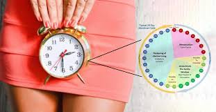 Safe Period When To Have Sex To Avoid Pregnancy