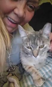 Hey, there! Here I am, at the Livonia Village Offices...sittin'