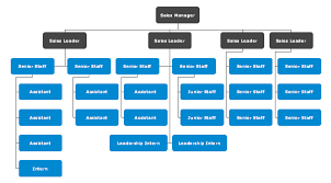 Examples Department Organizational Chart
