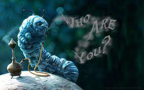 Blue caterpillar by andrey kazakov on artstation. Meet Absolem My Mascot Going Beyond