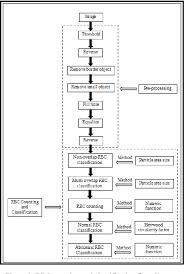 Figure 2 From Development Of Red Blood Cell Analysis System